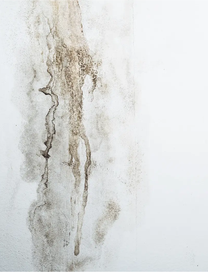 Prévention infiltration d'eau