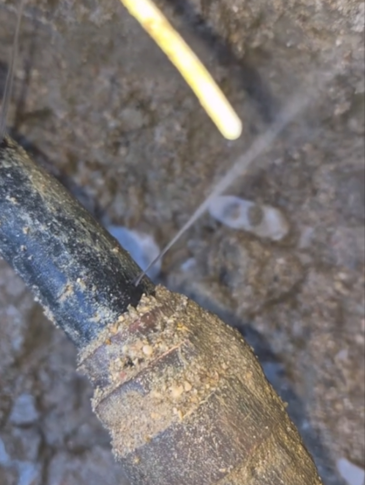 Expert en diagnostic de surconsommation d'eau